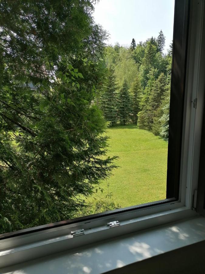 Haus Aschau Διαμέρισμα Bad Ischl Εξωτερικό φωτογραφία