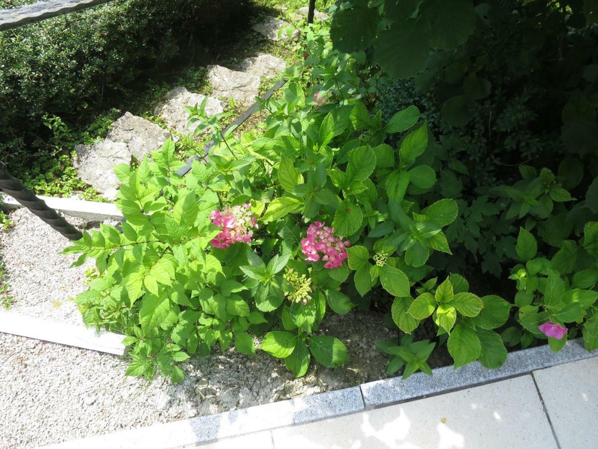 Haus Aschau Διαμέρισμα Bad Ischl Εξωτερικό φωτογραφία